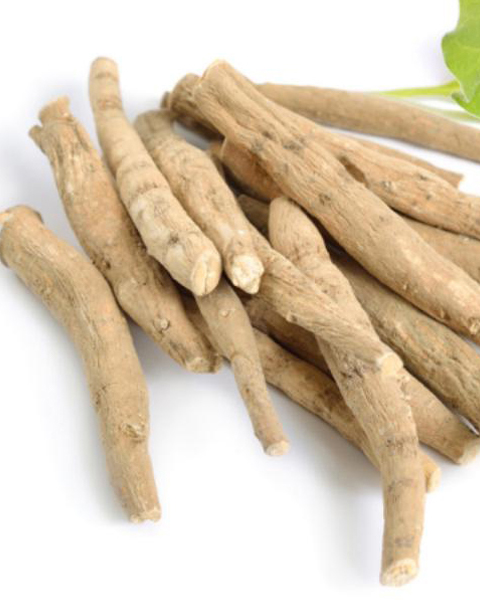 南非醉茄提取物