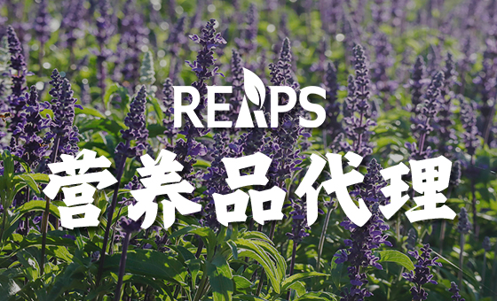 进口营养品代理如何做