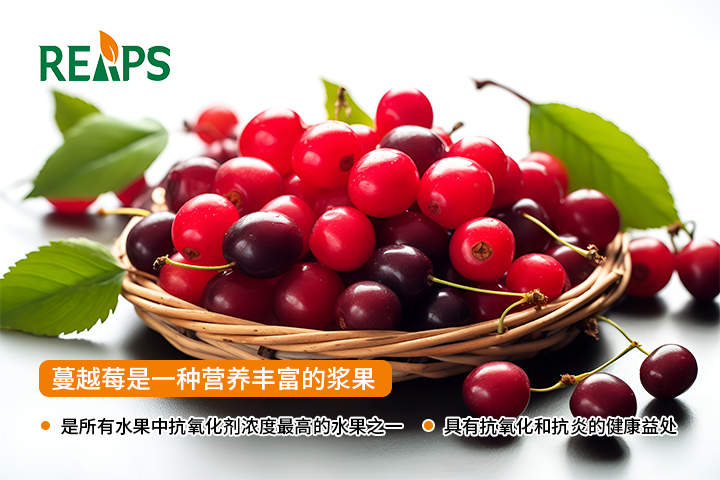 瑞普斯承接蔓越莓营养品OEM贴牌代加工