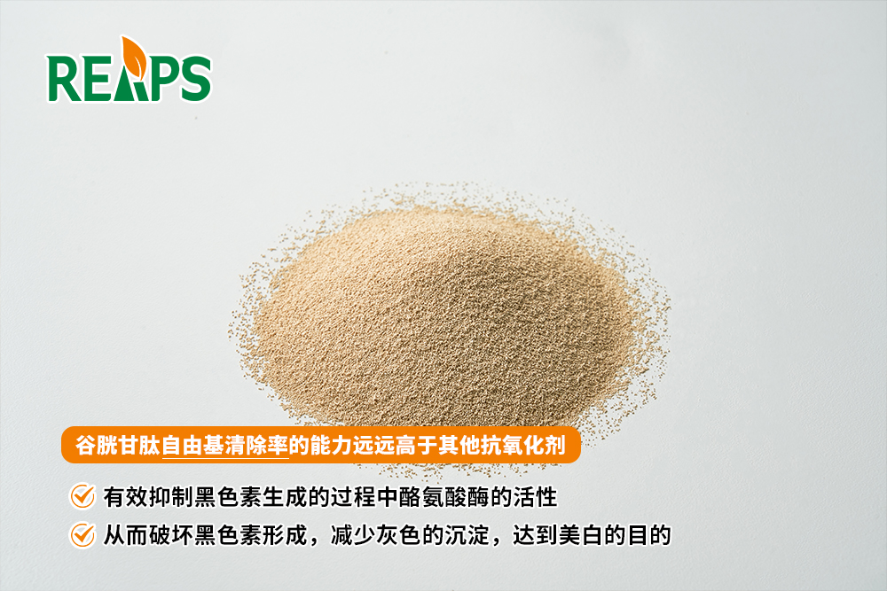 瑞普斯承接谷胱甘肽原料营养保健品OEM/ODM代加工
