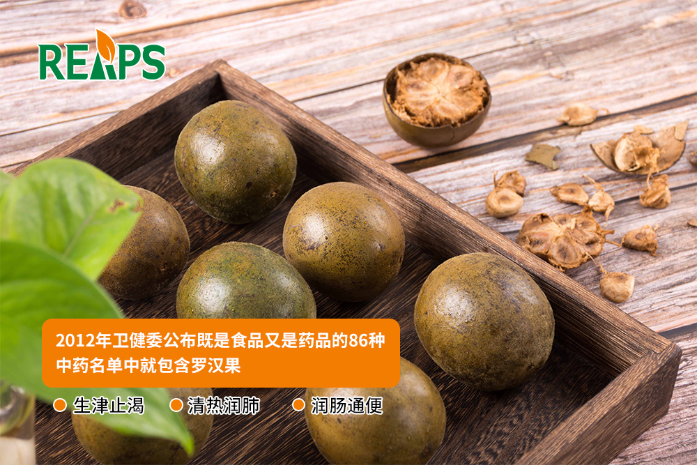 润肺止咳保健品代理批发厂家