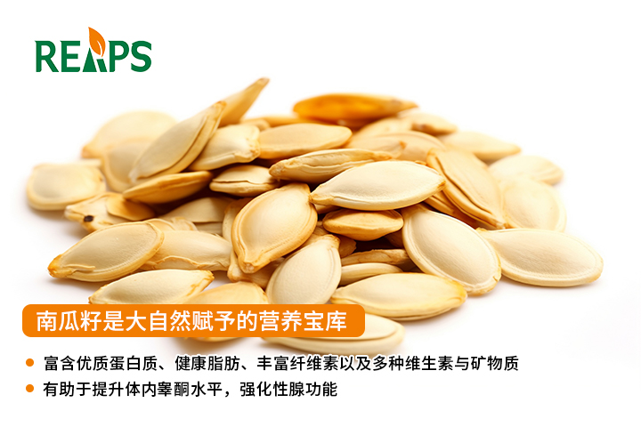 补肾壮阳保健品代理批发厂家