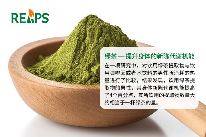 瑞普斯承接绿茶粉原料营养品OEM贴牌代加工 